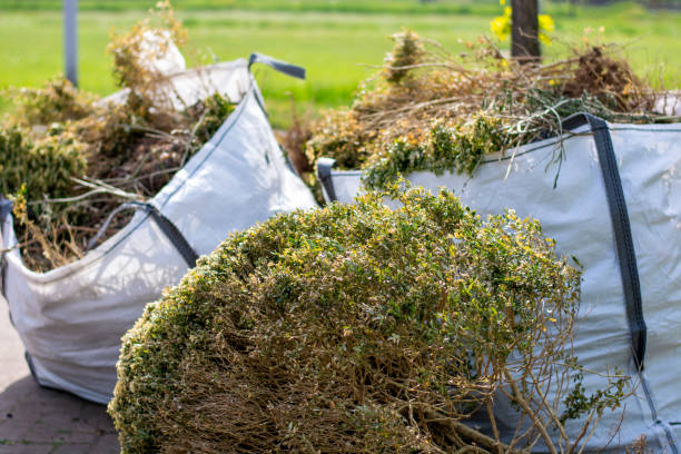 Professional Junk Removal Services in Buttonwillow, CA